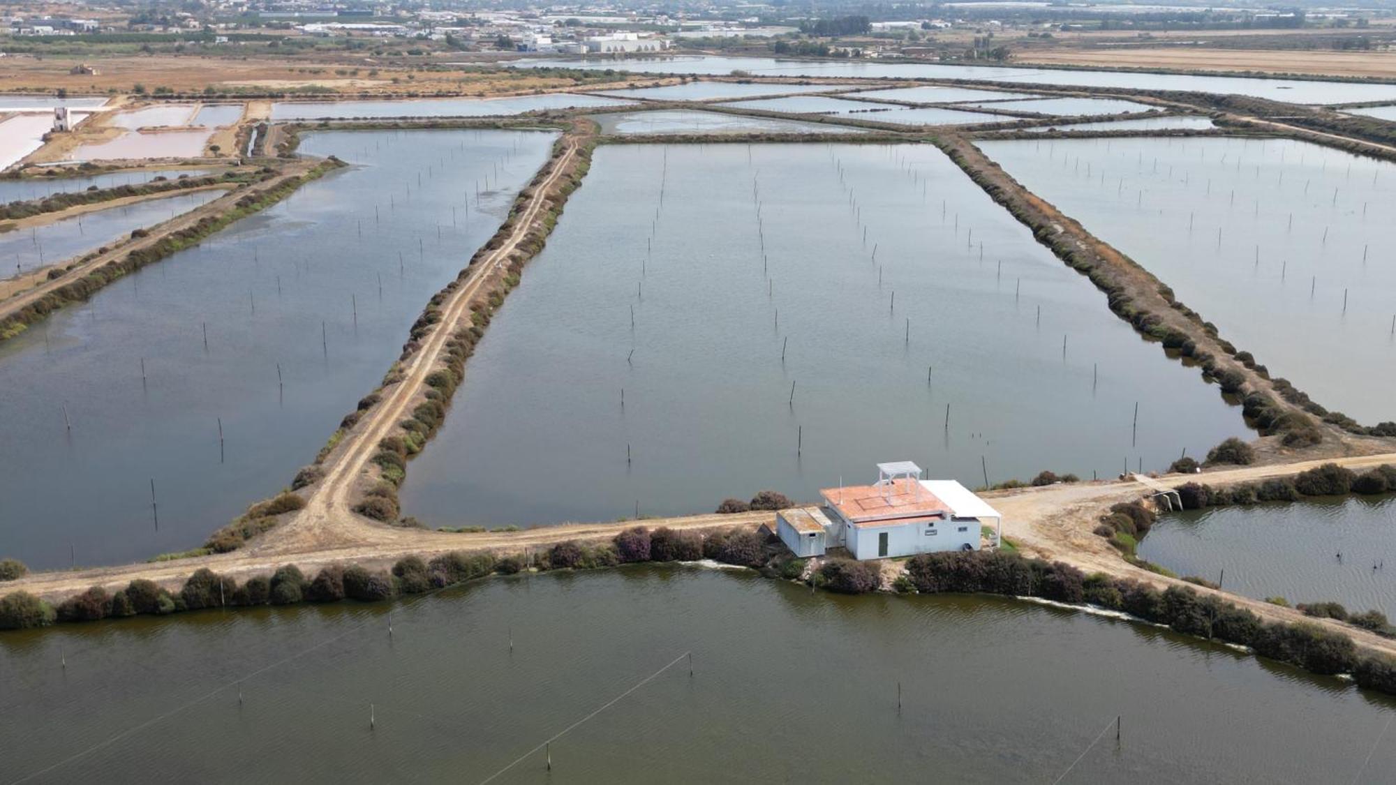 Herdade Dos Salgados Do Fialho Faro Bagian luar foto