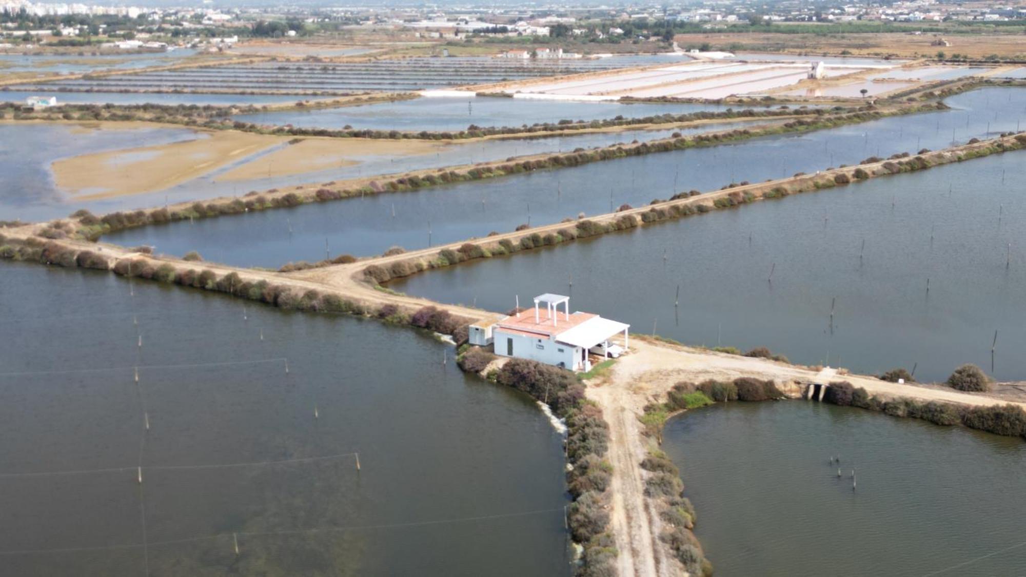 Herdade Dos Salgados Do Fialho Faro Bagian luar foto