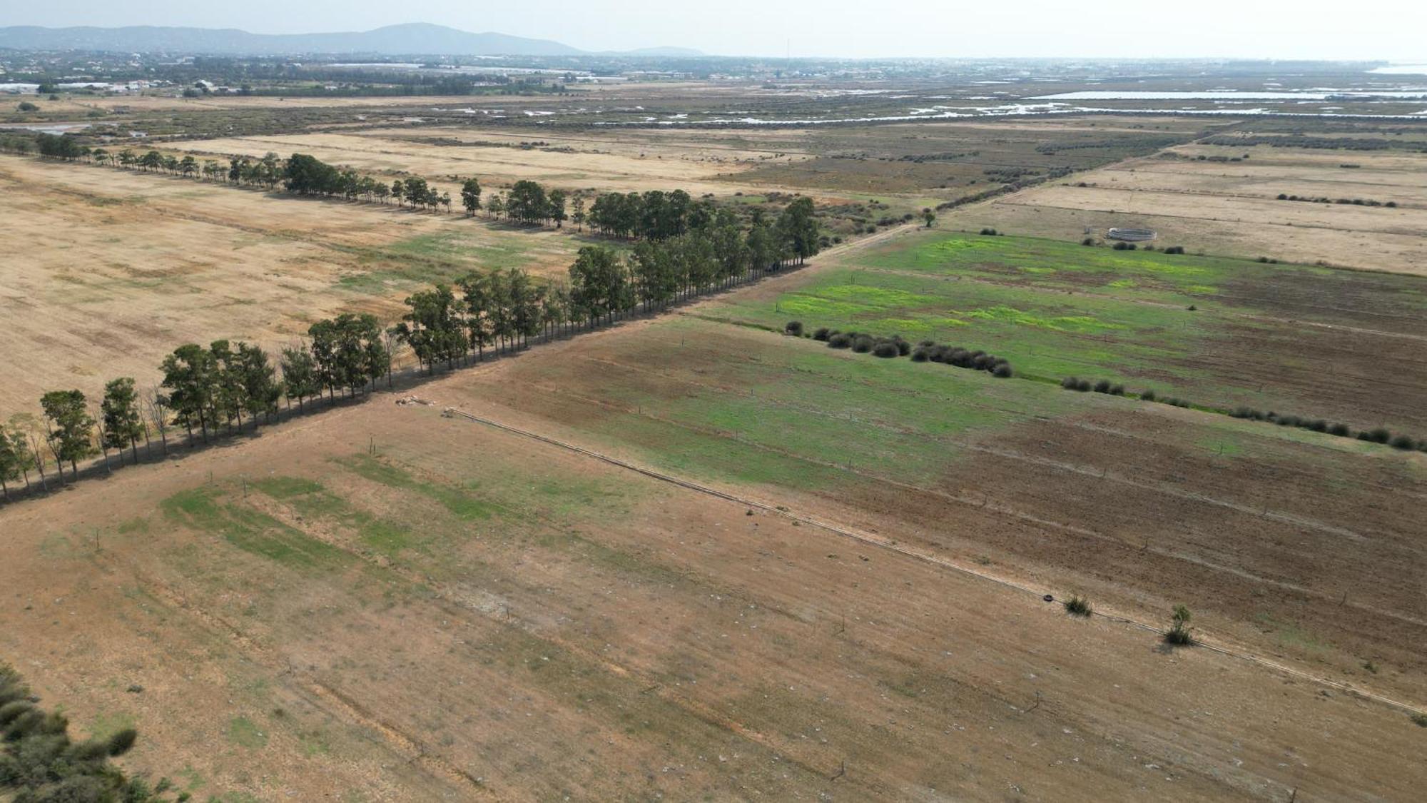 Herdade Dos Salgados Do Fialho Faro Bagian luar foto