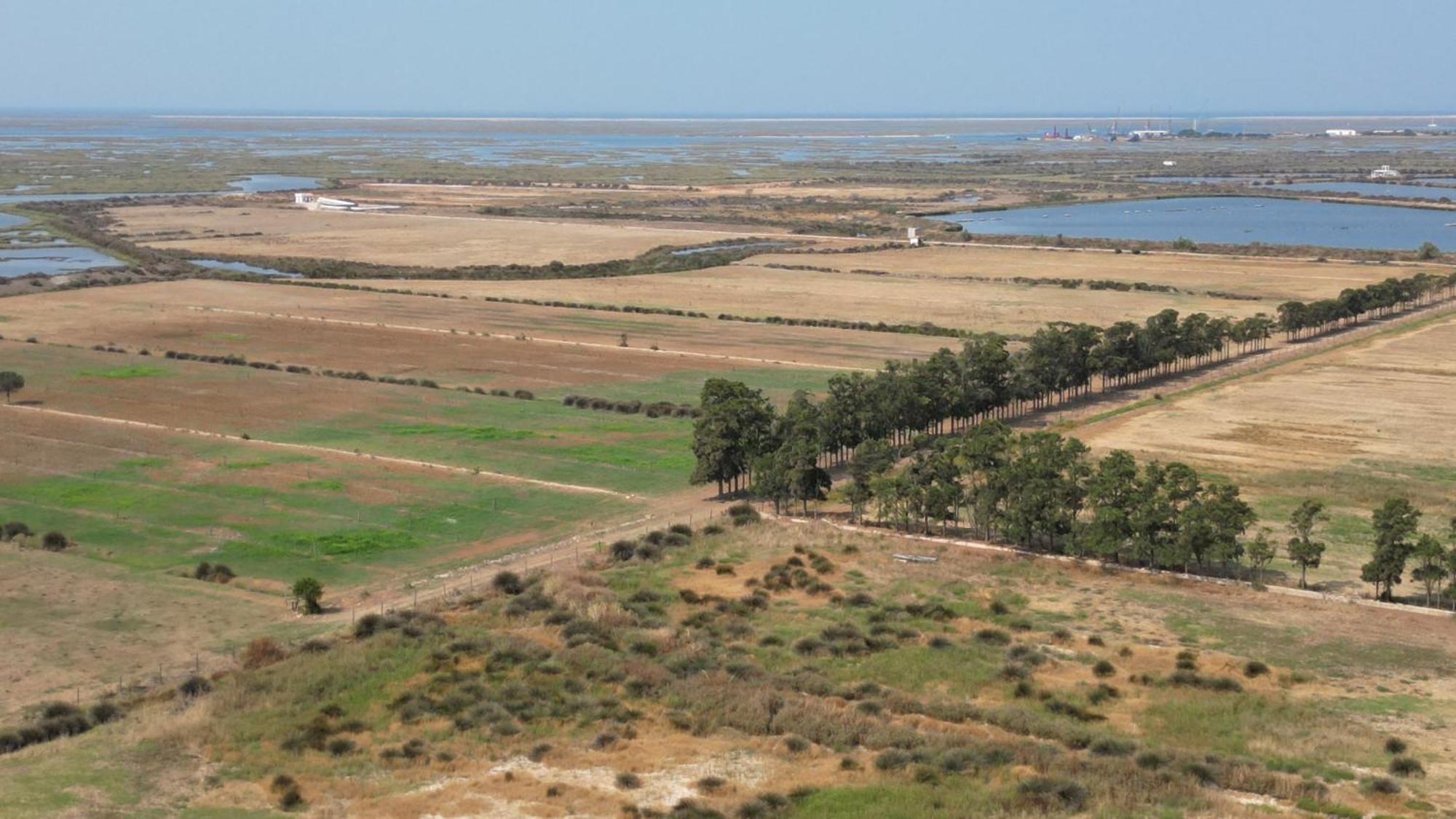 Herdade Dos Salgados Do Fialho Faro Bagian luar foto