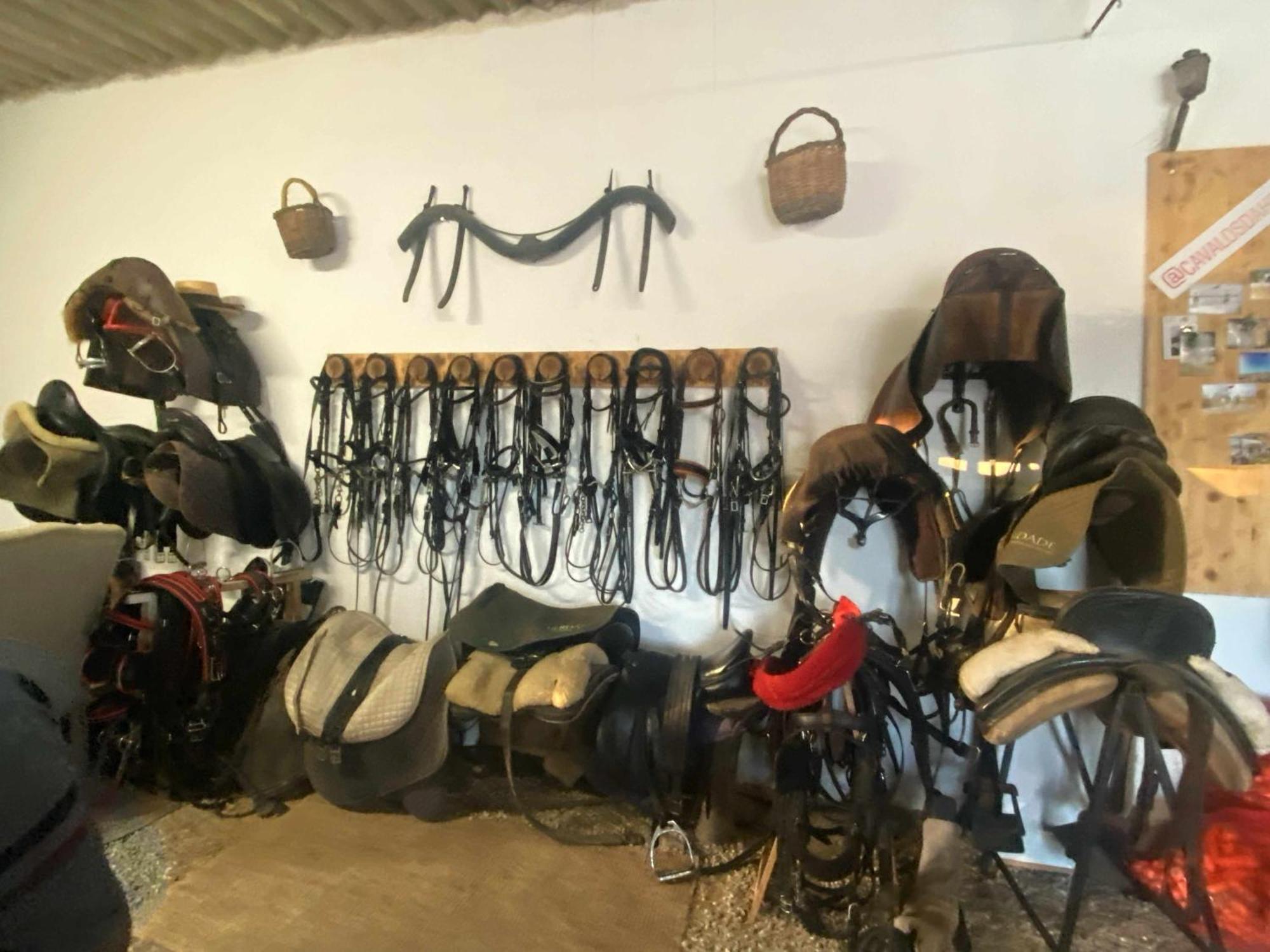 Herdade Dos Salgados Do Fialho Faro Bagian luar foto