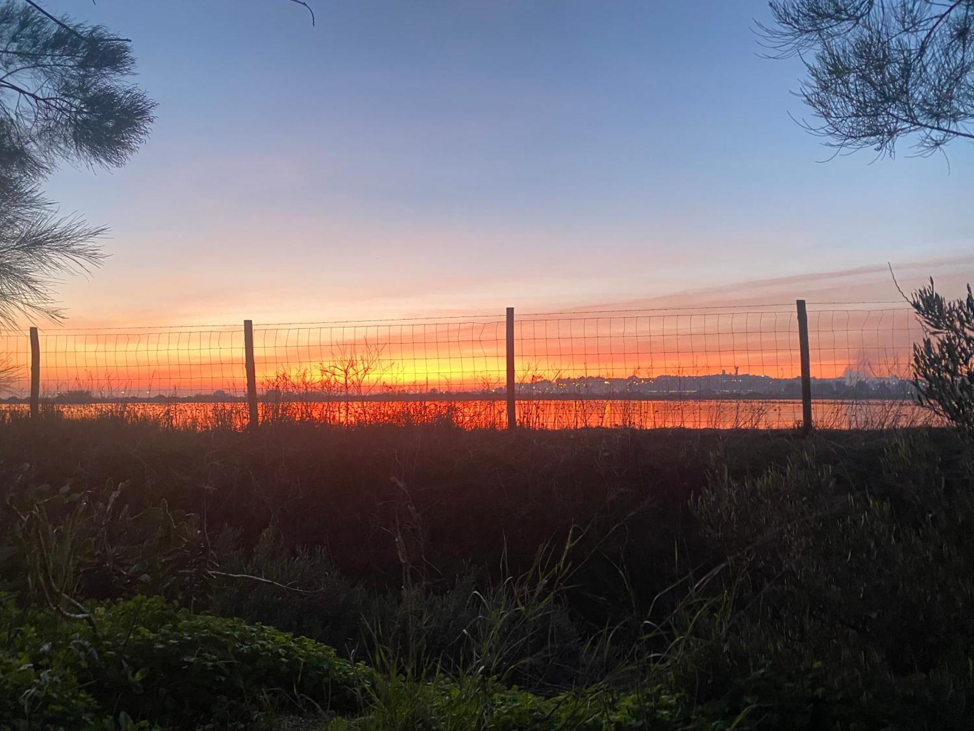 Herdade Dos Salgados Do Fialho Faro Bagian luar foto