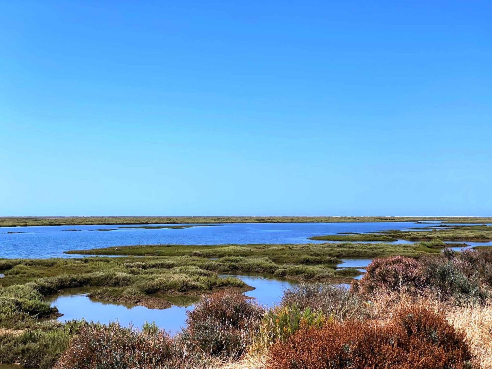 Herdade Dos Salgados Do Fialho Faro Bagian luar foto