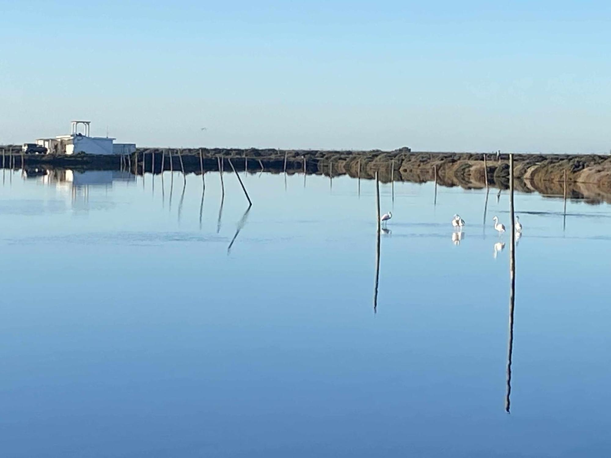 Herdade Dos Salgados Do Fialho Faro Bagian luar foto