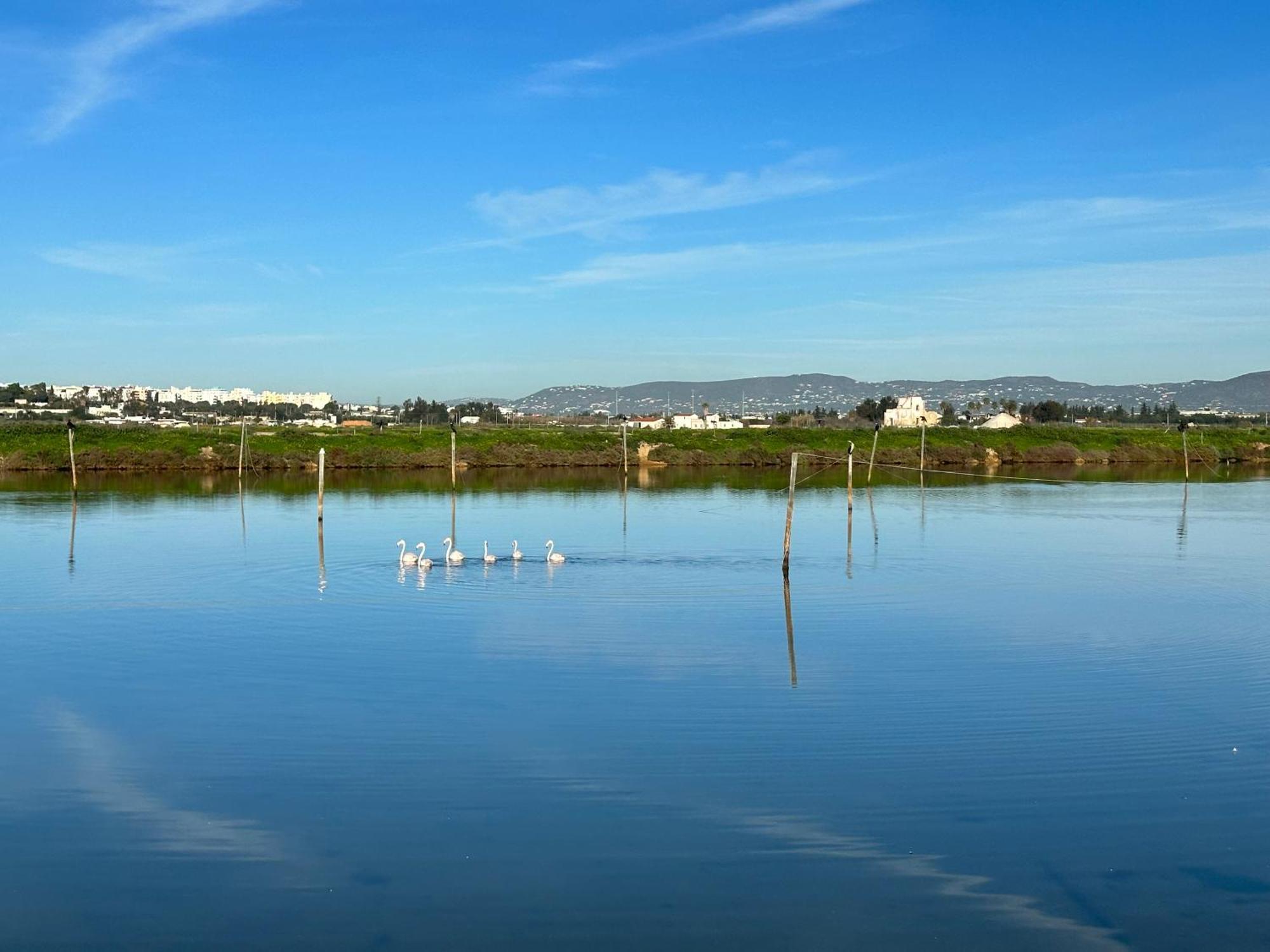Herdade Dos Salgados Do Fialho Faro Bagian luar foto