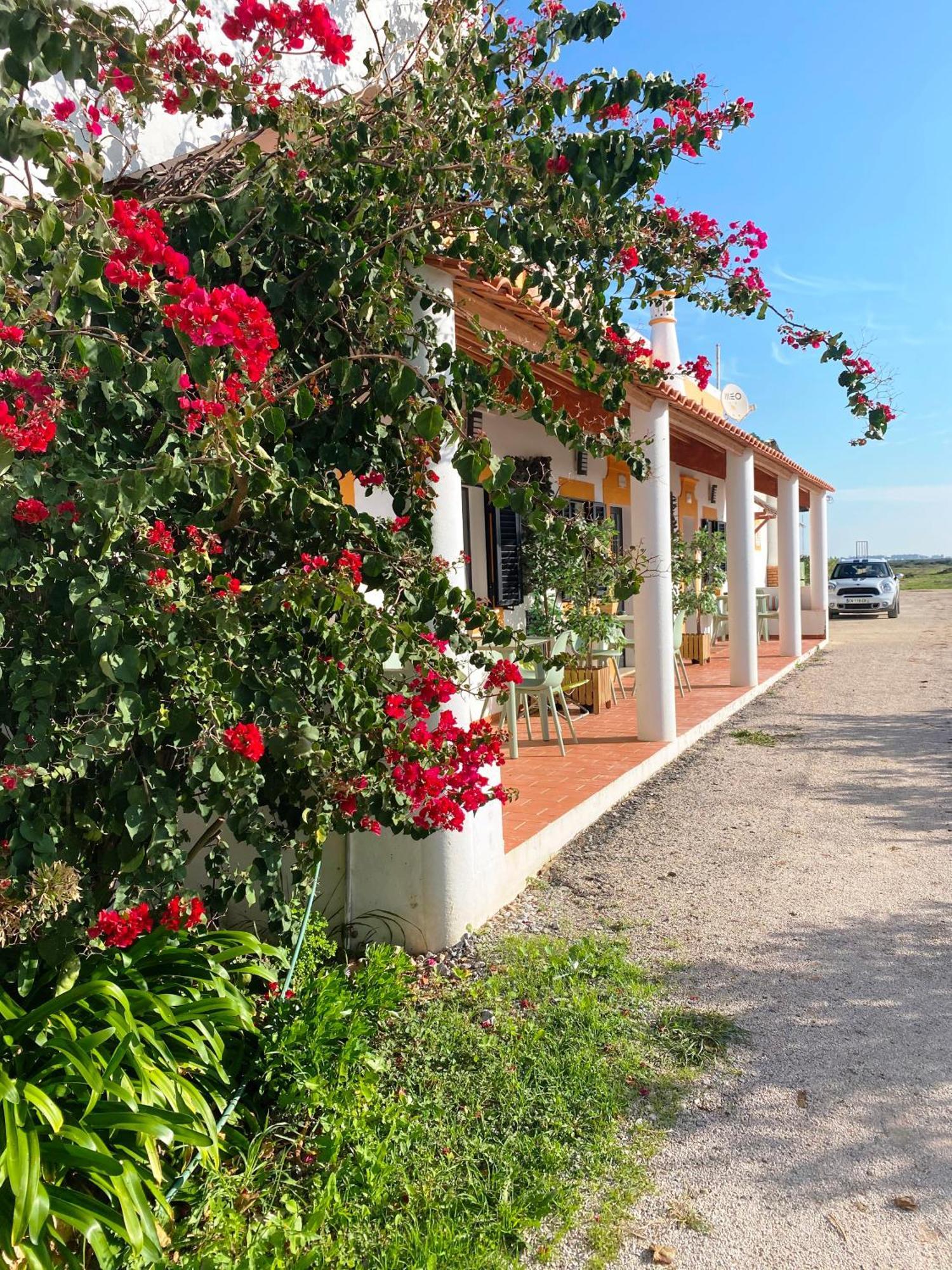 Herdade Dos Salgados Do Fialho Faro Bagian luar foto
